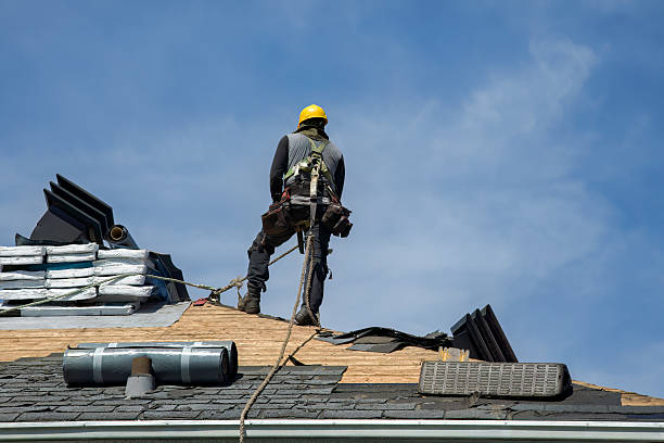 Professional Roofing technician working in Wilton, IA